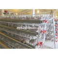 Wholesale Quail Cage And Water System